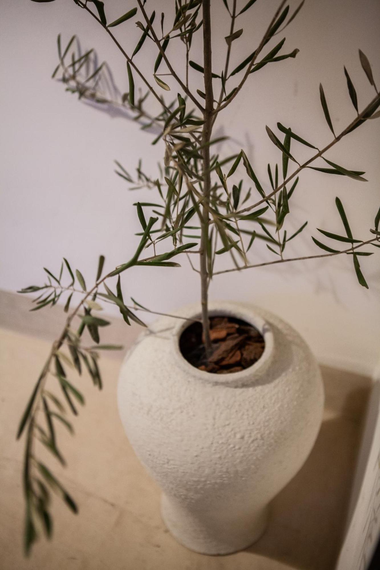 Cosy Riad Marakéš Exteriér fotografie